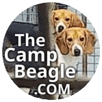 Camp Beagle