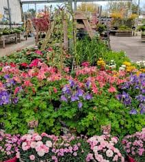 BAY GARDEN CENTRE 03