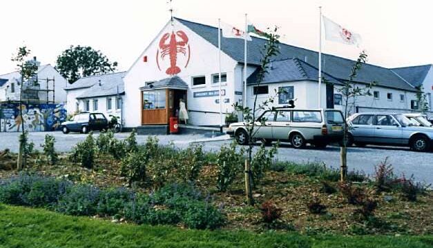 angklesey sea zoo 01