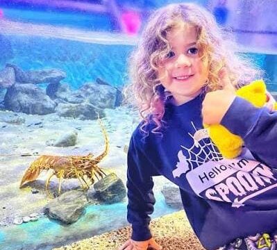 angklesey sea zoo 05