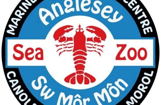 angklesey sea zoo logo