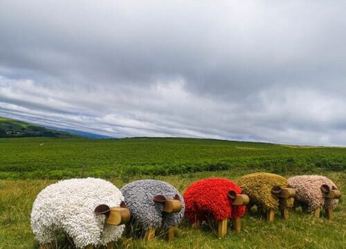 ewemoo 01(1)