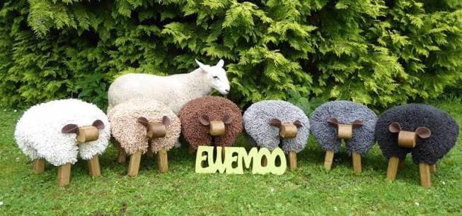 ewemoo 04(1)