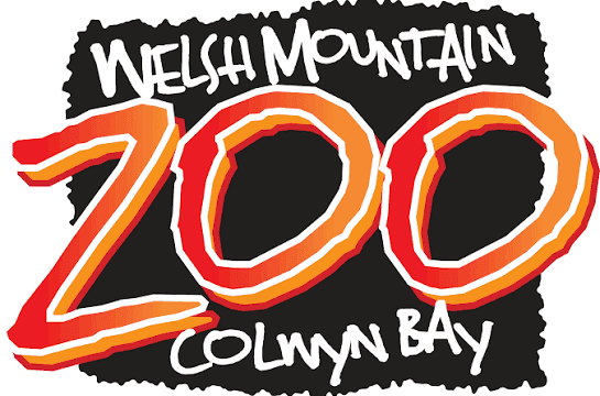welsh mountian zoo iage 01